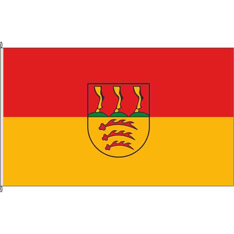 Fahne Flagge BC-Langenenslingen