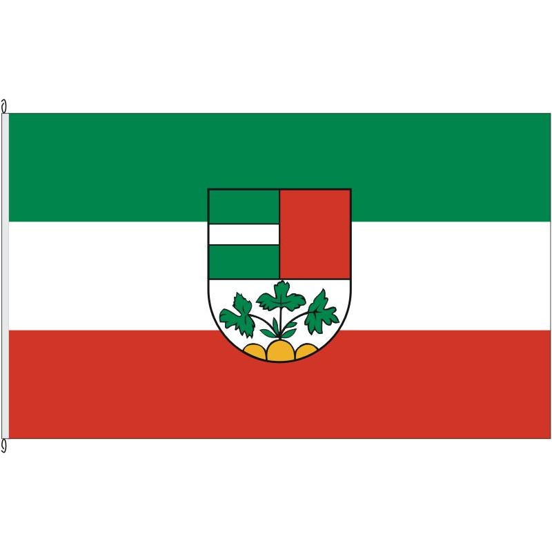 Fahne Flagge BC-Laupheim