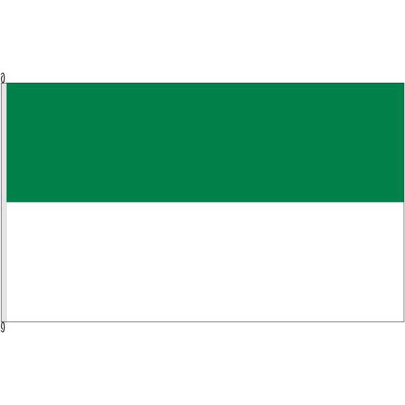 Fahne Flagge DAH-Altomünster (o.W.)