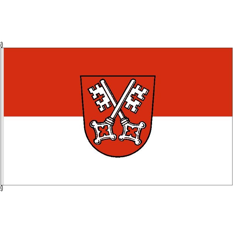 Fahne Flagge R-Regensburg