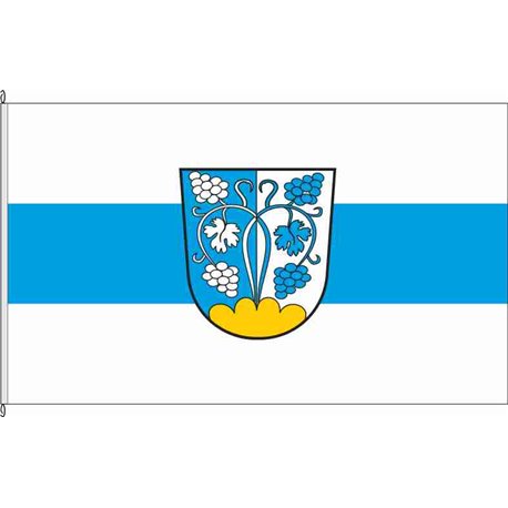 Fahne Flagge R-Donaustauf
