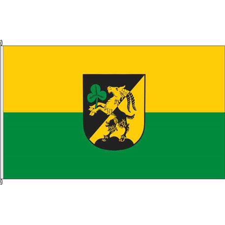 Fahne Flagge R-Riekofen