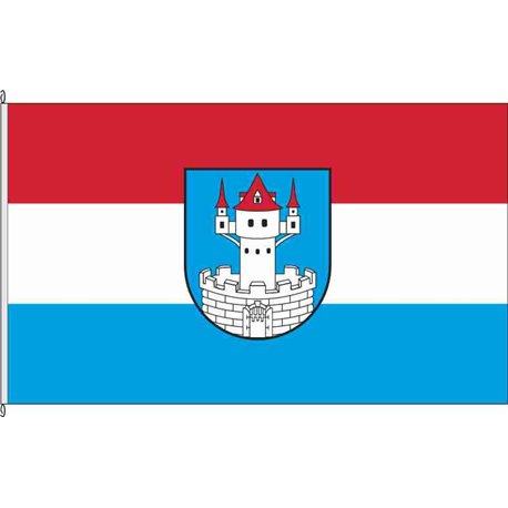 Fahne Flagge SAD-Neunburg vorm Wald