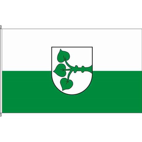 Fahne Flagge SAD-Schönsee