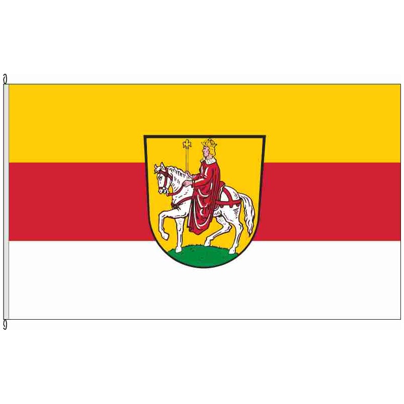 Fahne Flagge BT-Hollfeld