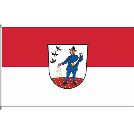 Fahne Flagge LIF-Ebensfeld