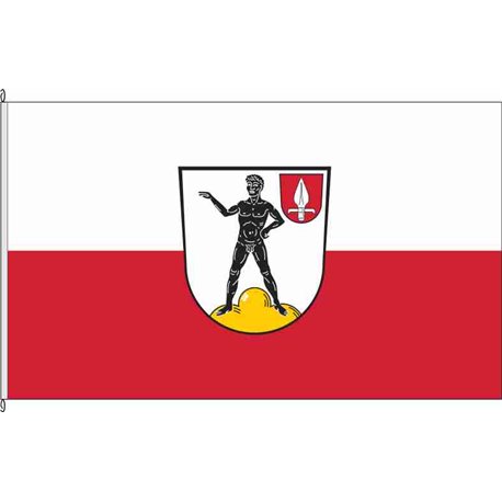 Fahne Flagge ERH-Hemhofen