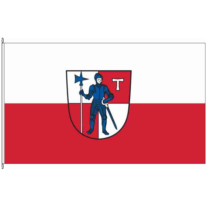 Fahne Flagge HAS-Eltmann