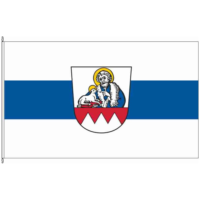 Fahne Flagge HAS-Hofheim i.UFr.