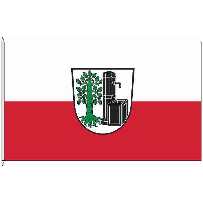Fahne Flagge KT-Buchbrunn