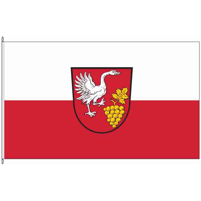 Fahne Flagge KT-Rödelsee