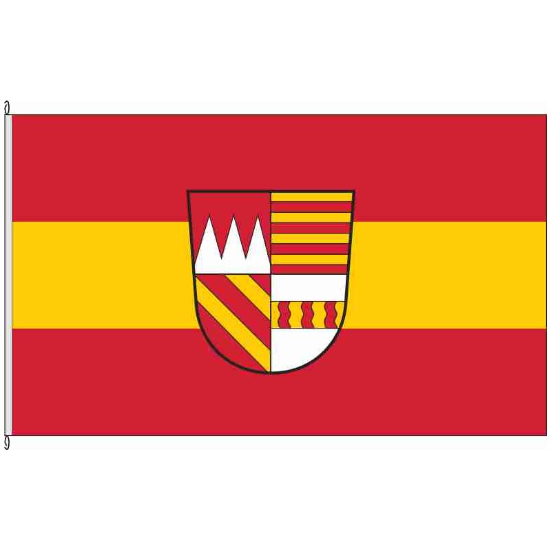 Fahne Flagge MSP-Aura i.Sinngrund