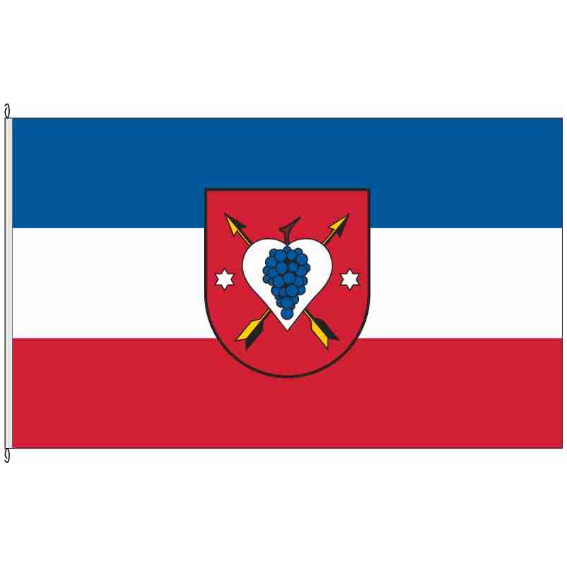 Fahne Flagge MSP-Erlenbach b.Marktheidenfeld