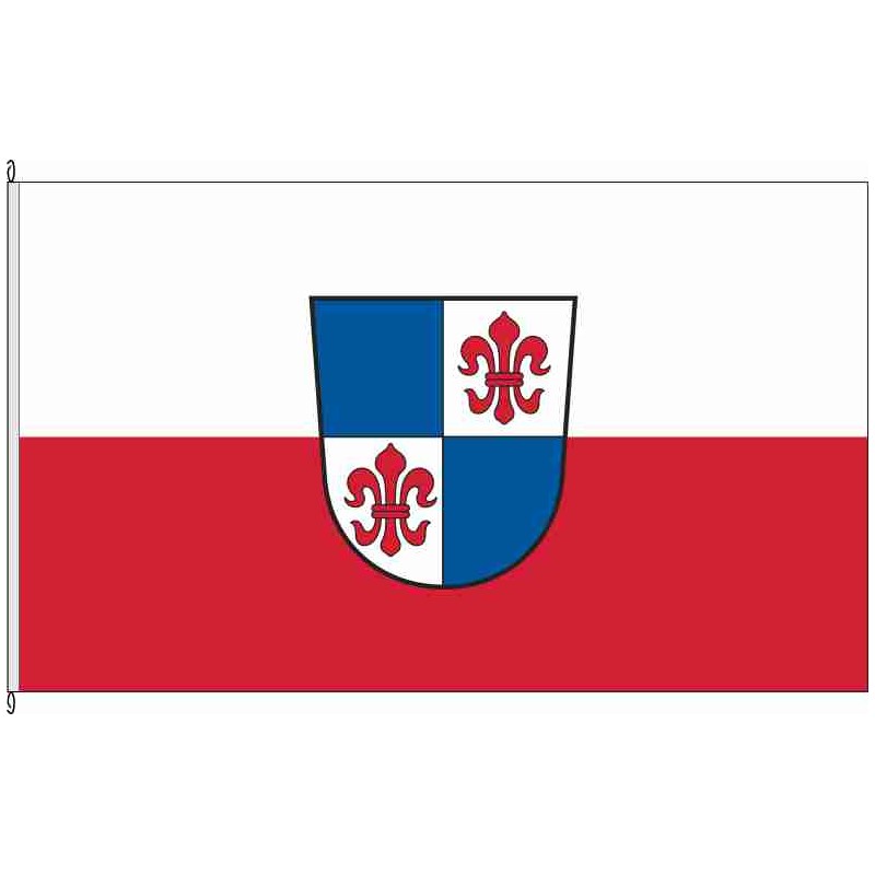 Fahne Flagge MSP-Karlstadt
