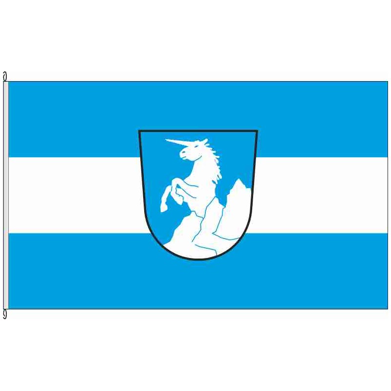 Fahne Flagge AIC-Affing