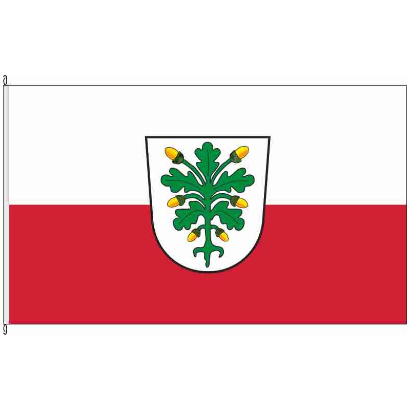 Fahne Flagge AIC-Aichach
