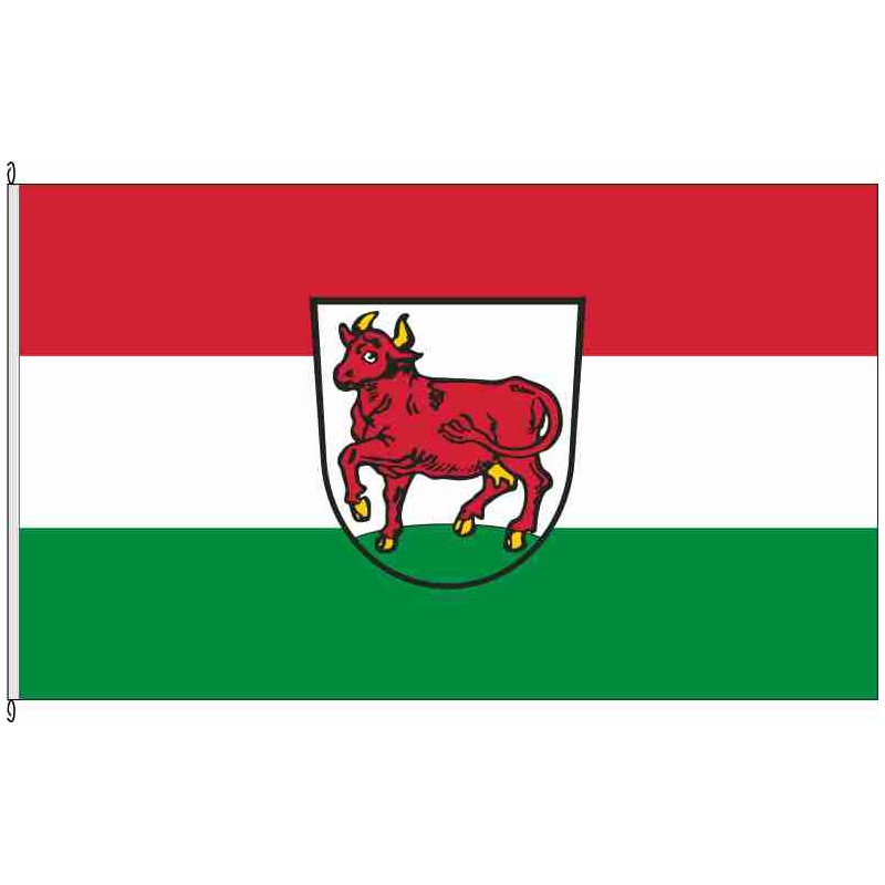 Fahne Flagge AIC-Kühbach