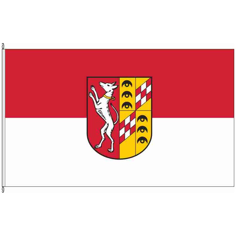 Fahne Flagge GZ-Ichenhausen