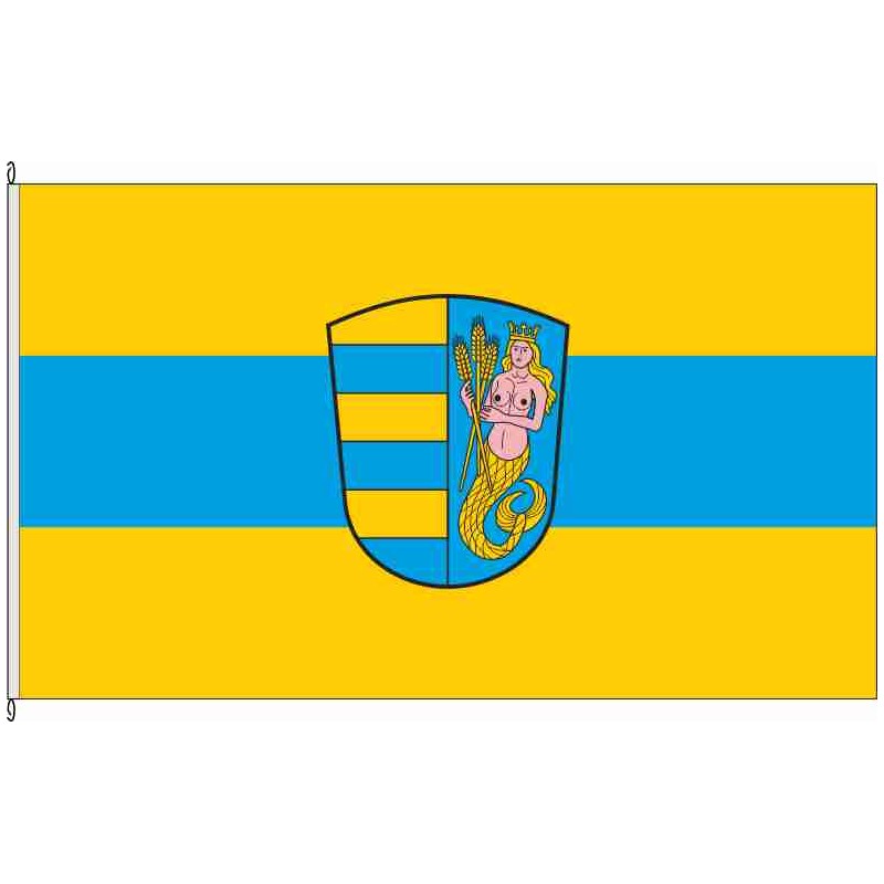 Fahne Flagge DON-Niederschönenfeld