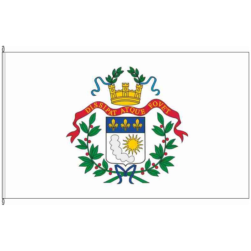 Fahne Flagge SLS-Saarlouis