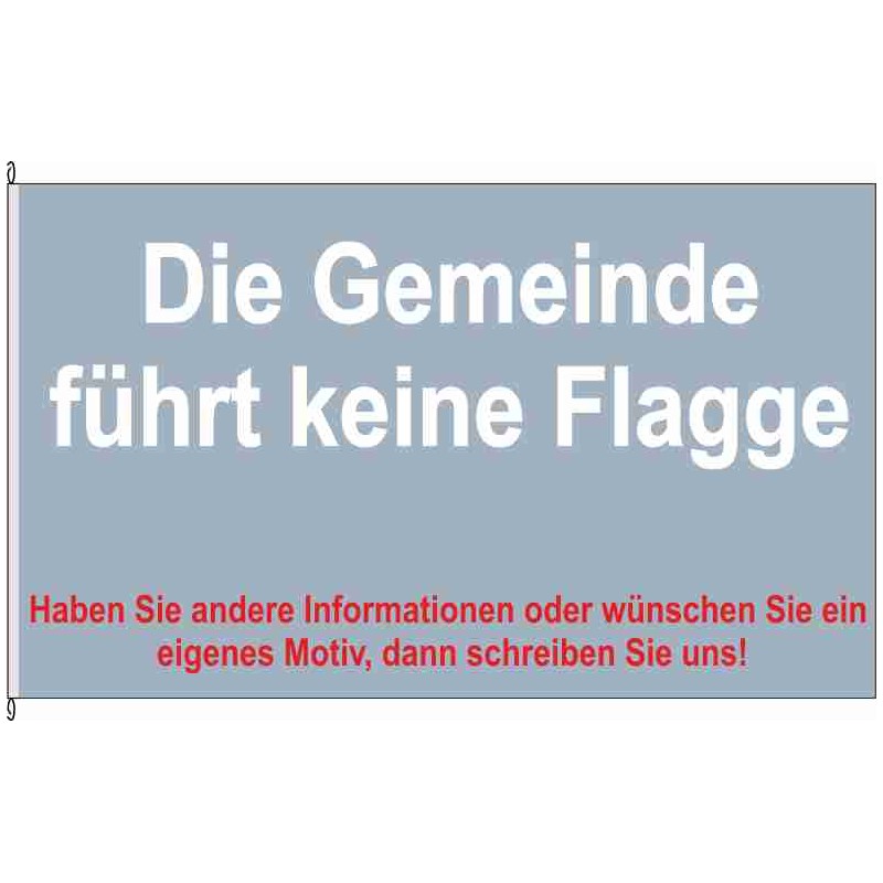 Fahne Flagge BAR-Melchow