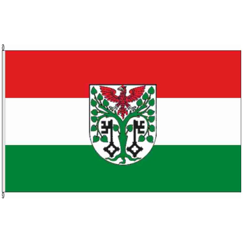 Fahne Flagge LDS-Mittenwalde
