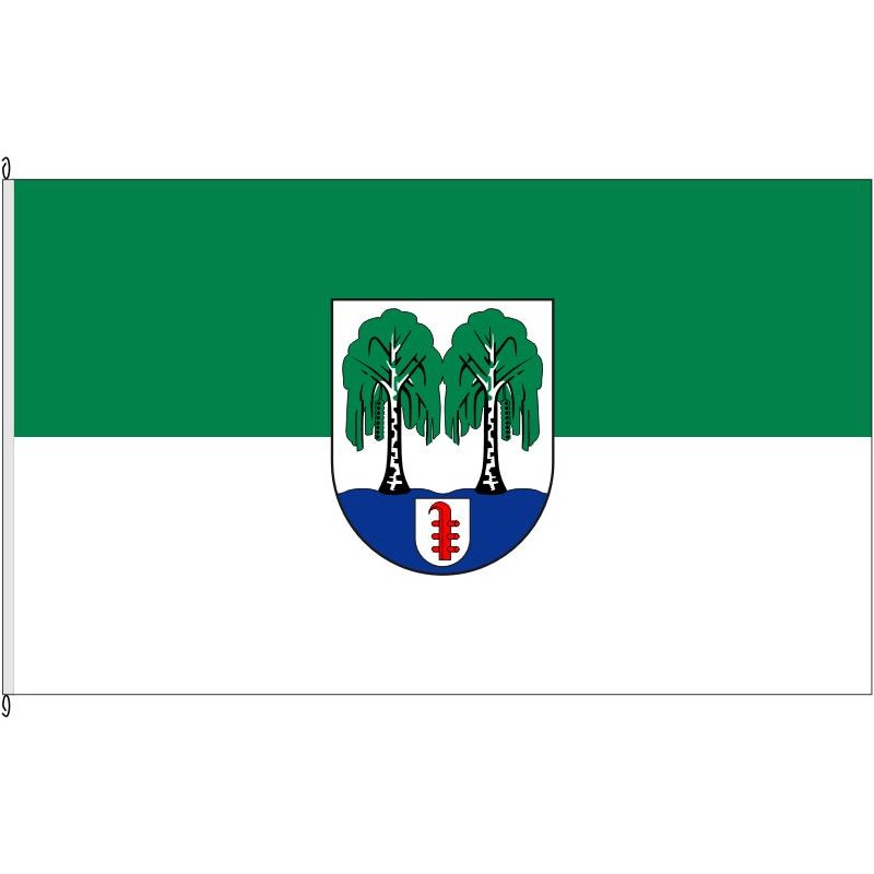 Fahne Flagge HVL-Brieselang