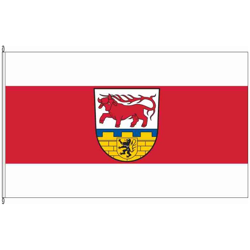 Fahne Flagge OSL-Landkreis Oberspreewald-Lausitz