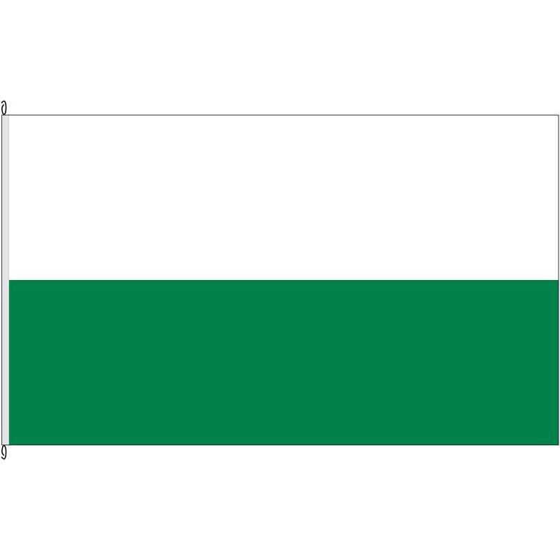 Fahne Flagge PM-Belzig (o.W.)