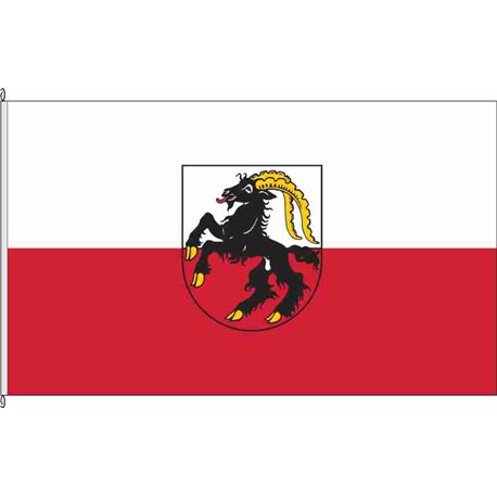 Fahne Flagge TF-Jüterbog