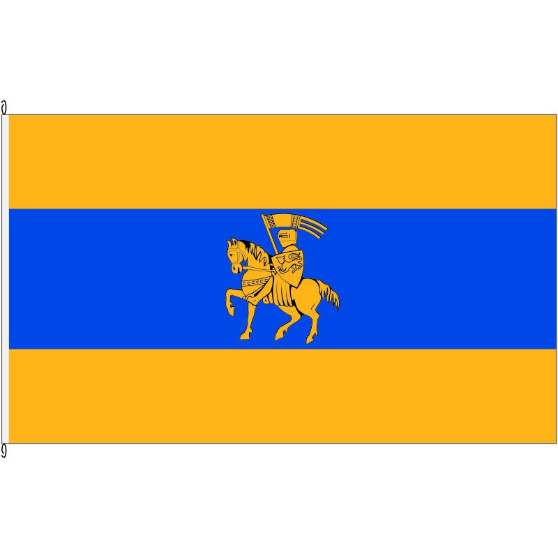 Fahne Flagge SN-Schwerin