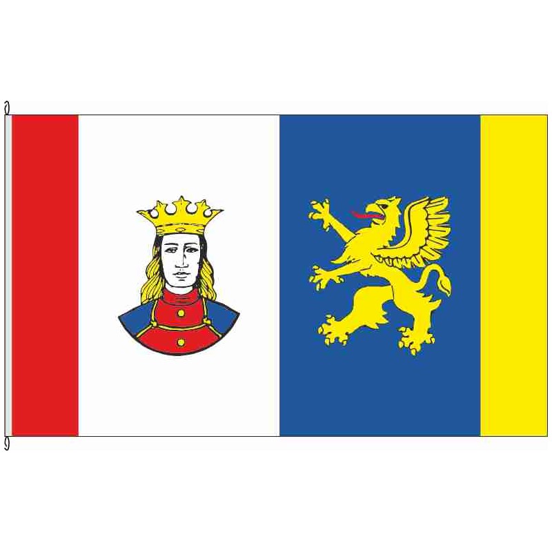 Fahne Flagge VR-Ribnitz-Damgarten