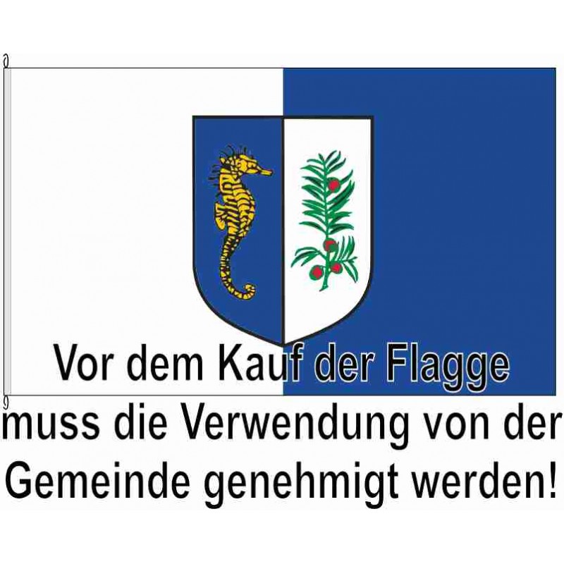 Fahne Flagge VG-Zinnowitz