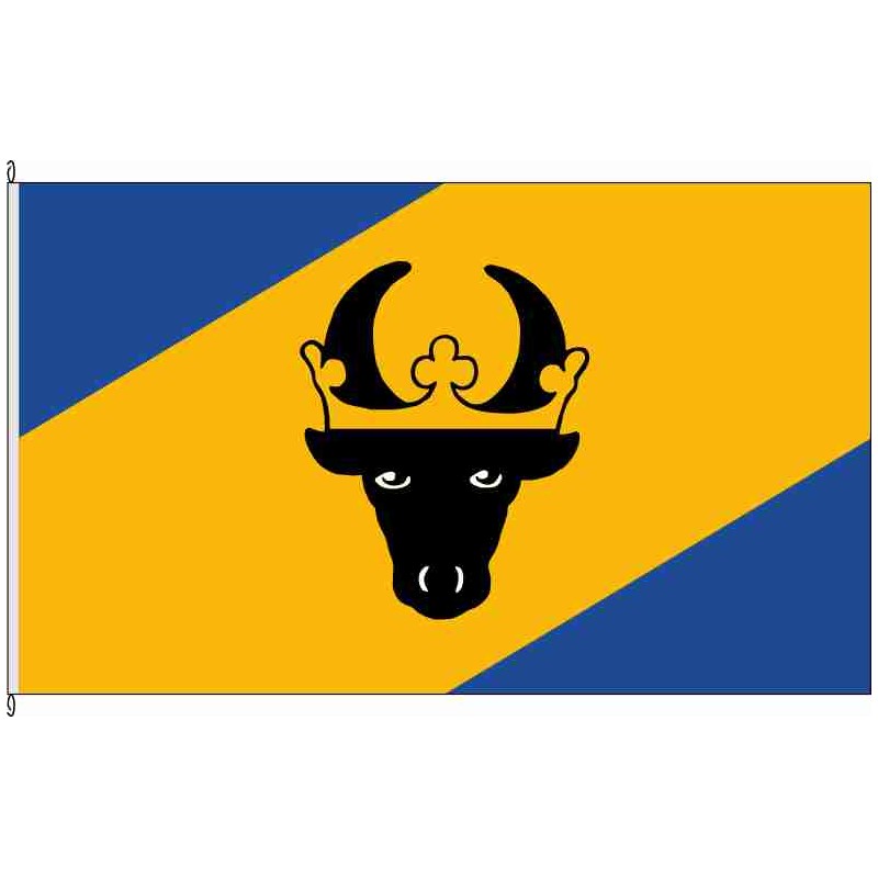 Fahne Flagge PCH-Landkreis Parchim historisch