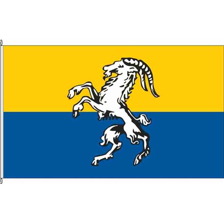 Fahne Flagge ERZ-Bockau