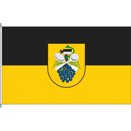 Fahne Flagge ERZ-Grünhain-Beierfeld