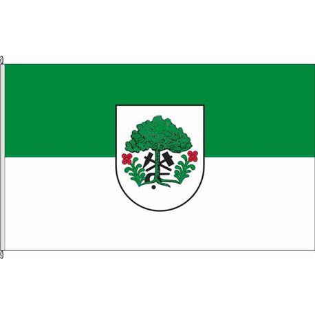 Fahne Flagge ERZ-Schönheide