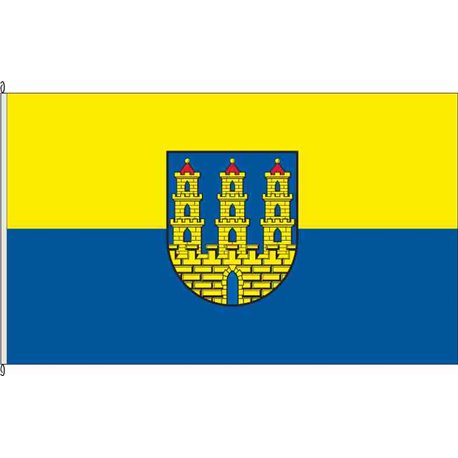 Fahne Flagge ERZ-Zschopau