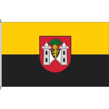 Fahne Flagge V-Plauen
