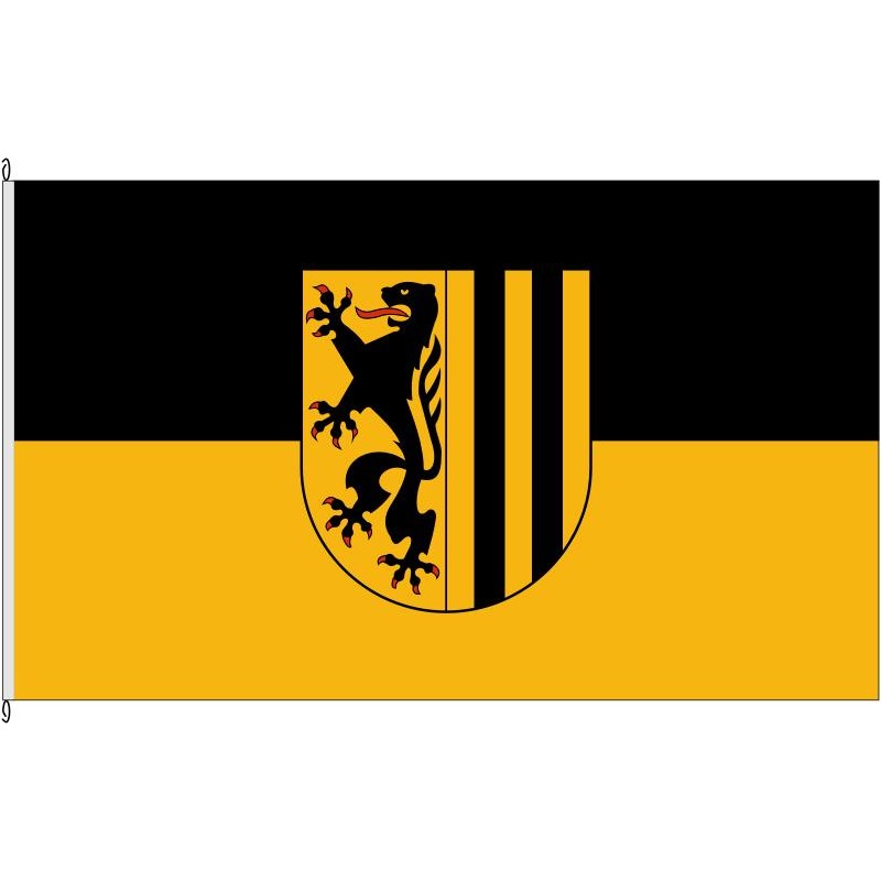 Fahne Flagge DD-Dresden altern.