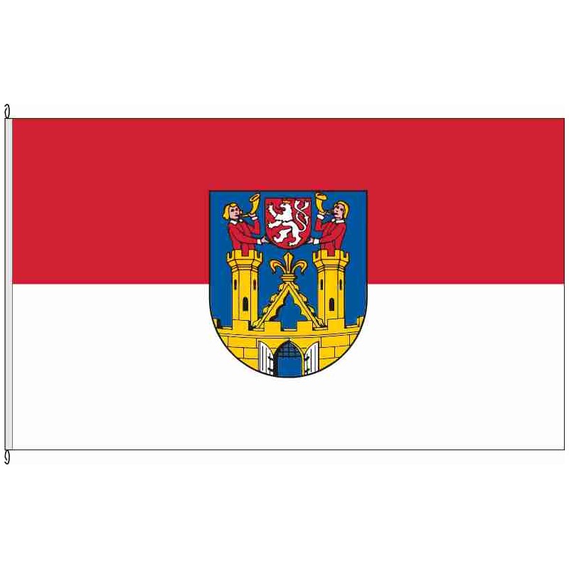 Fahne Flagge BZ-Kamenz