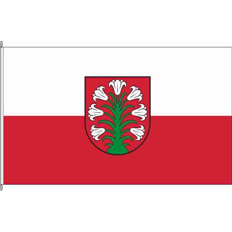 Fahne Flagge PIR-Liebstadt