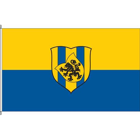 Fahne Flagge TDO-Delitzsch