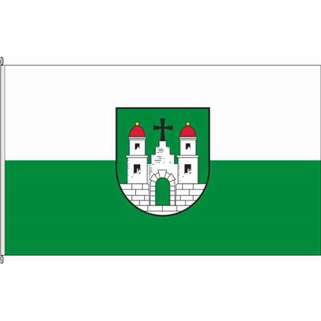 Fahne Flagge TDO-Dommitzsch