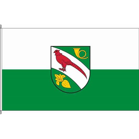 Fahne Flagge TDO-Naundorf