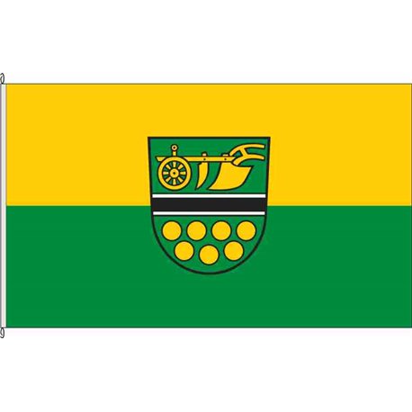 Fahne Flagge SAW-Lagendorf