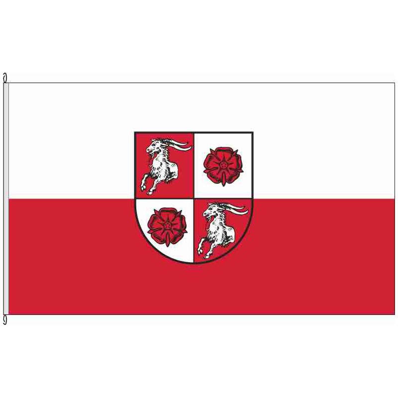 Fahne Flagge ABI-Dornbock