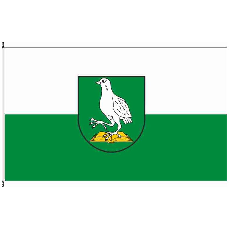 Fahne Flagge ABI-Reppichau