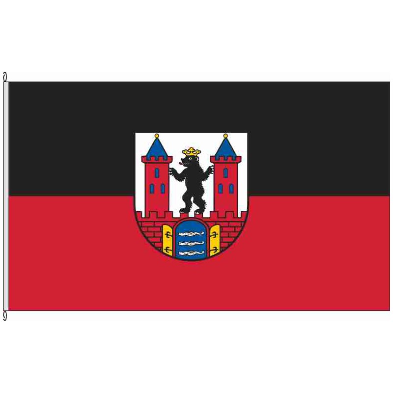 Fahne Flagge ABI-Raguhn