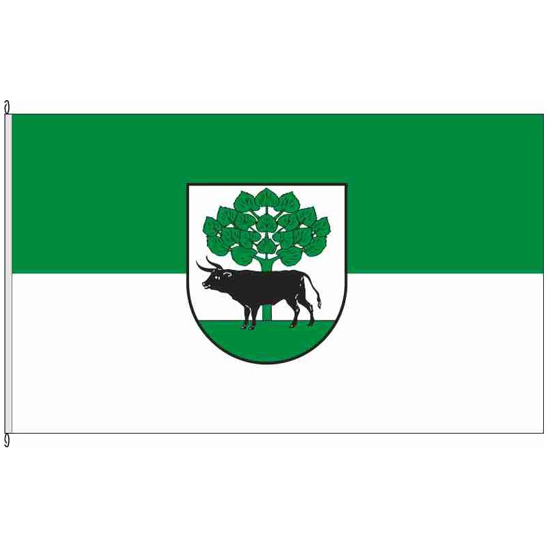 Fahne Flagge ABI-Thurland